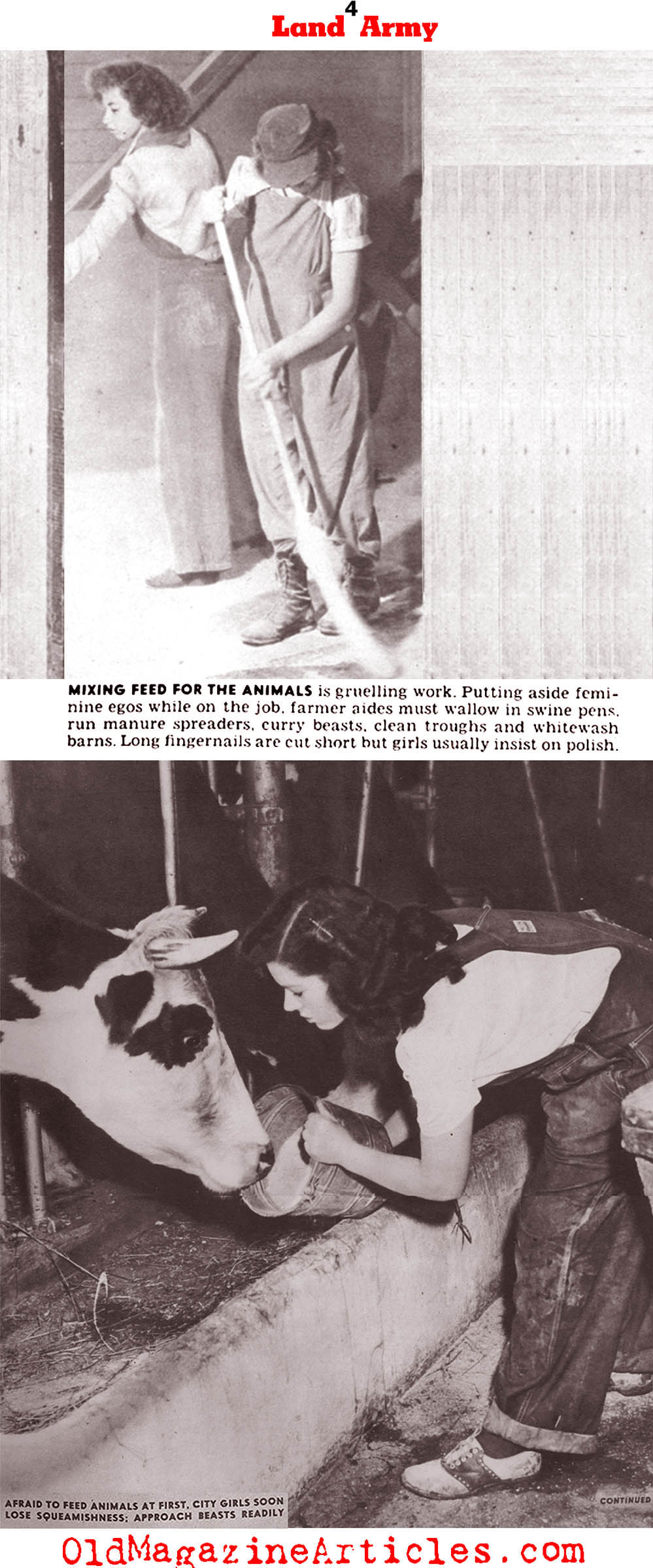 Women Worked The Farms (Click Magazine, 1943)
